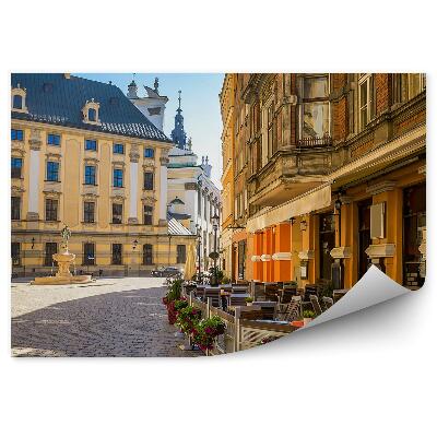 Fototapeta Trhové námestie Wroclaw budovy fontána kvety