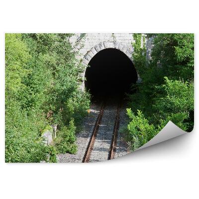 Fototapeta Tunel Železničné Trate Príroda Ker