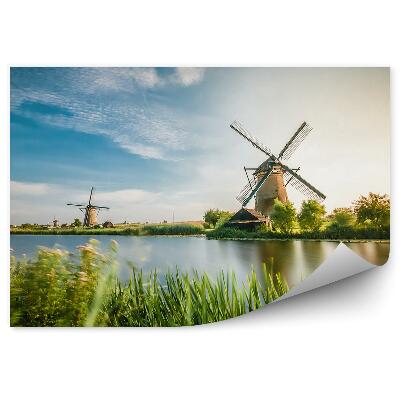 Fototapeta Zelena polja rotterdamske mlini na veter poletje