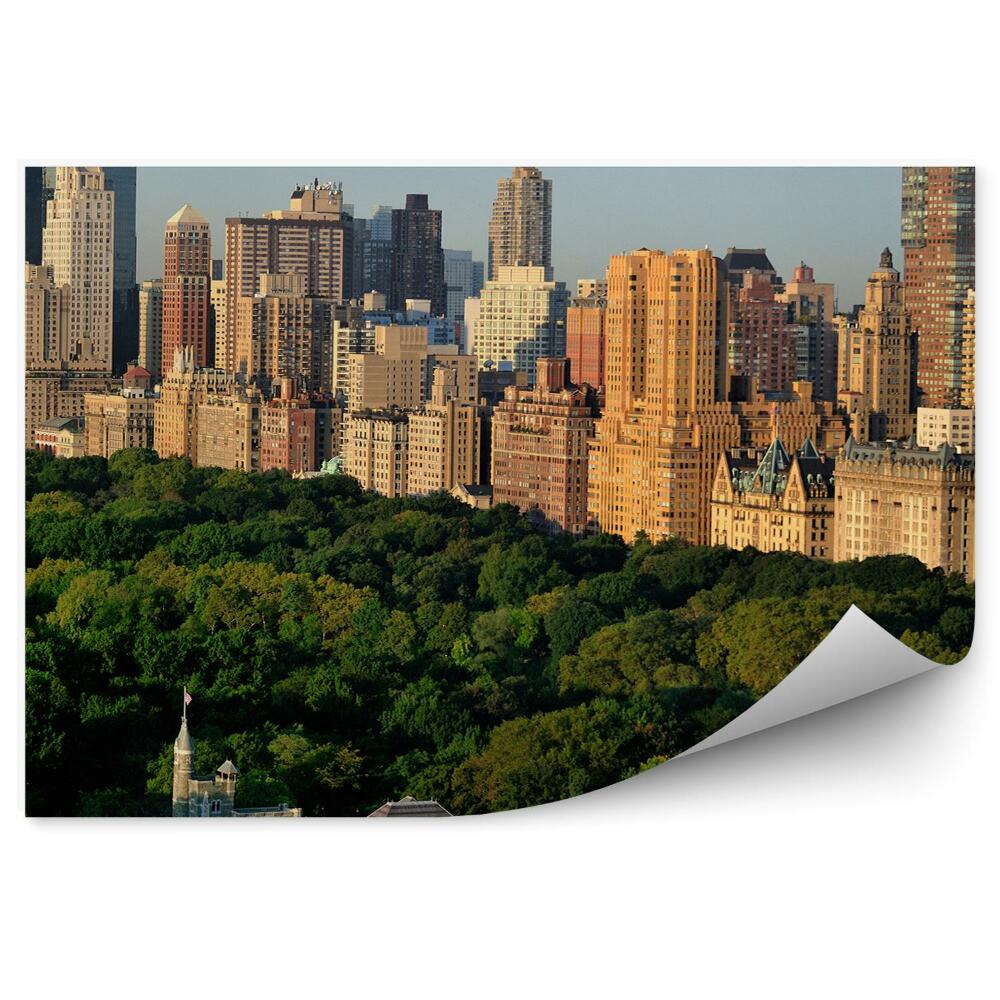 Fototapeta na stenu Belvedere hrad stromy mrakodrapy pohľad New York