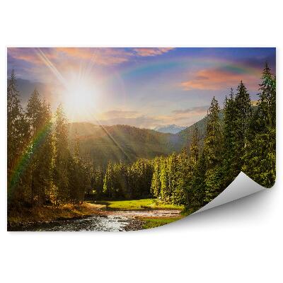 Fototapeta na stenu Borovicový les tráva rieka dúha mraky obloha slnko