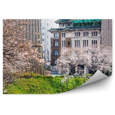 Fototapeta Japonska stavbe ob reki