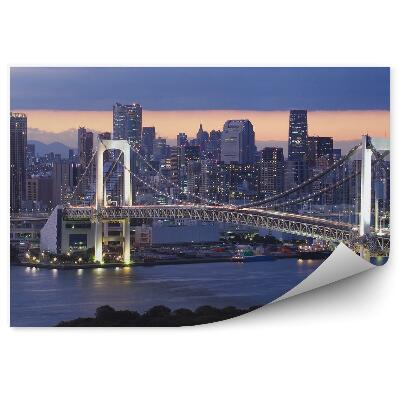 Fototapeta Mrakodrapy most oceán nočné mraky Tokio Japonsko