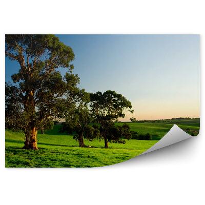 Fototapeta na stenu Zelená lúka stromy kopce príroda