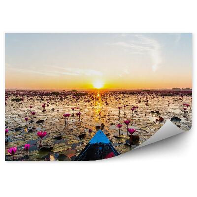 Fototapeta Loďka Na Jazere Lekná A Západ Slnka