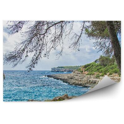 Fototapeta Krásne divoké tropické morské pobrežie