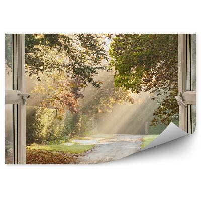 Fototapeta na stenu Park za oknom cesta slnko