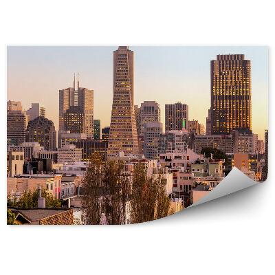 Fototapeta Mrakodrapy kalifornské budovy svetlá stromy