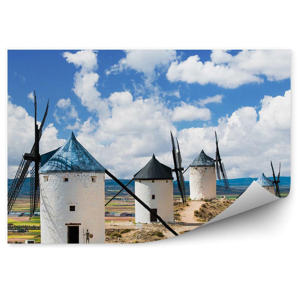 Fototapeta na stenu Krajinska polja mlini na veter