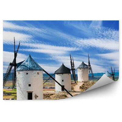 Fototapeta Polja mlini na veter pokrajina modro nebo