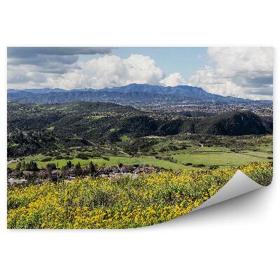 Fototapeta Lúka kalifornské stromy mesto