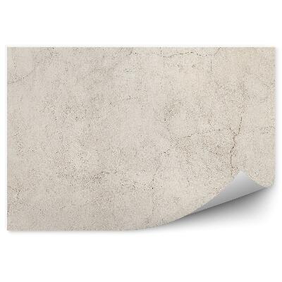 Fototapeta na stenu Vyblednutá popraskaná betónová stena