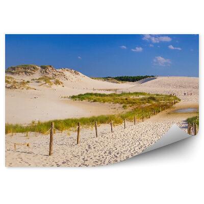 Fototapeta Pohybujúce sa duny pri Baltskej lebe