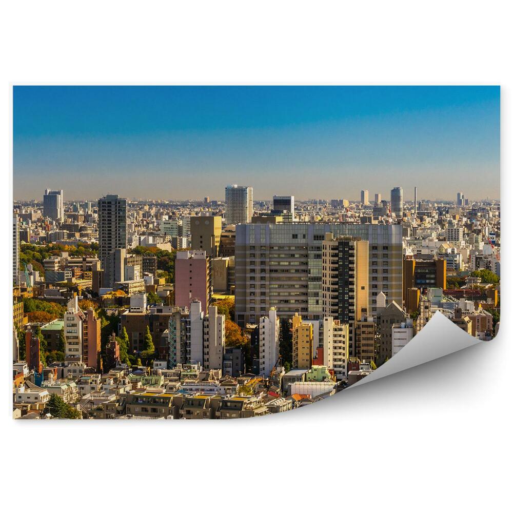 Fototapeta na stenu Mrakodrapy obloha Tokio Japonsko