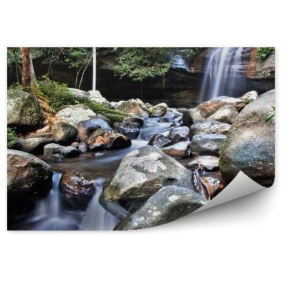 Fototapeta na stenu Vodopád kamene rastliny