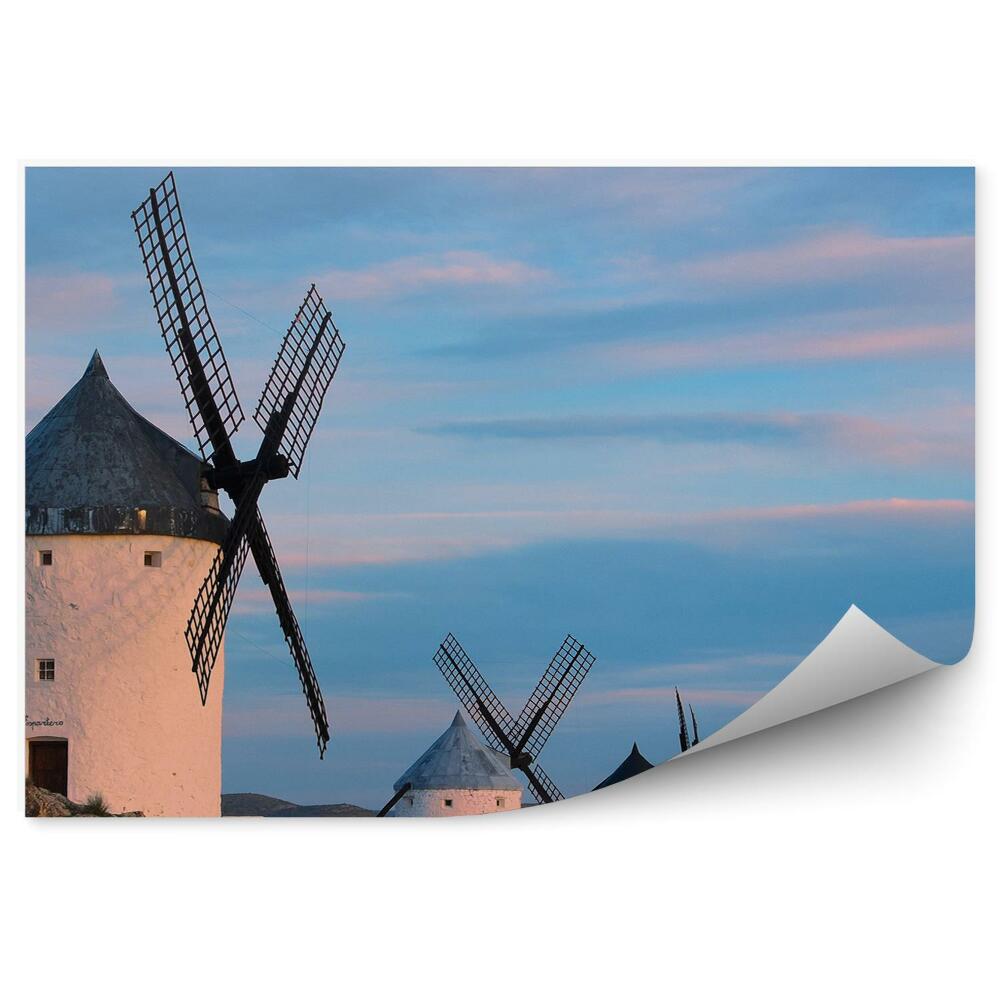 Fototapeta na stenu Mlini na veter obseg narava arhitektura