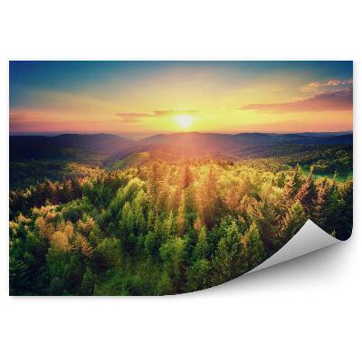 Fototapeta Západ slnka nad lesom