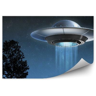 Fototapeta na stenu Stromy Tráva Obloha Hviezdy Ufo 3d Vesmírna Loď