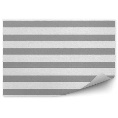 Fototapeta Biele a sivé pruhy