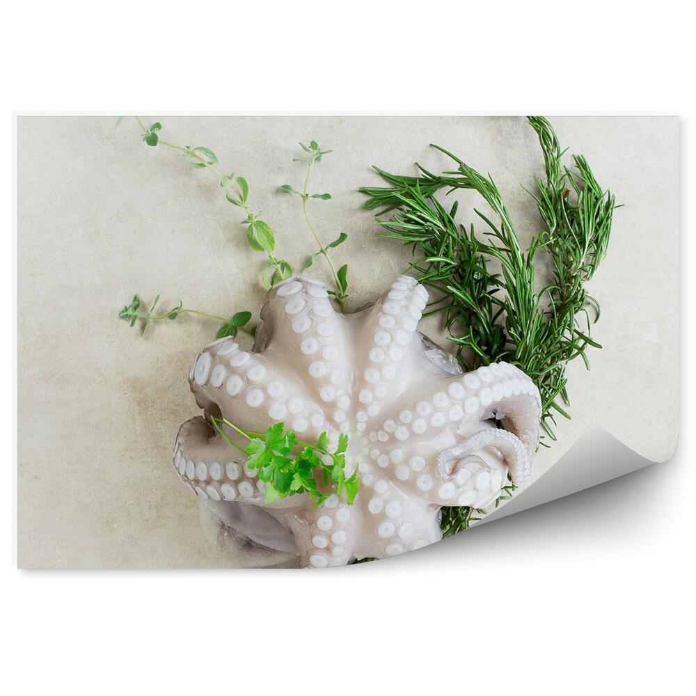 Fototapeta Chobotnica bylinky príroda