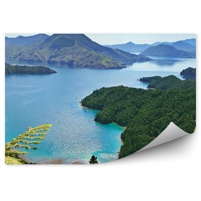 Fototapeta na stenu Hory zelené ihličnaté stromy papradie oceán obloha mraky nový zéland