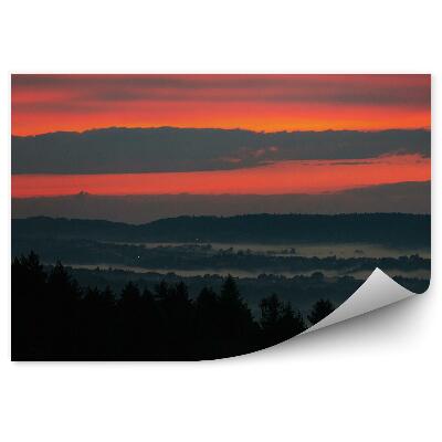 Fototapeta Západ Slnka Ihličnaté Stromy Hmla