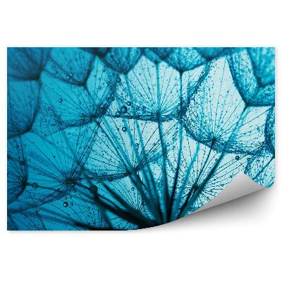 Fototapeta Modré pozadie