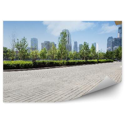 Fototapeta Dláždená tehlová cesta s pozadím mesta