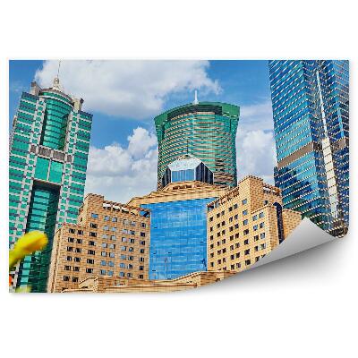 Fototapeta na stenu Farebné kvety medzi mrakodrapmi mestské budovy