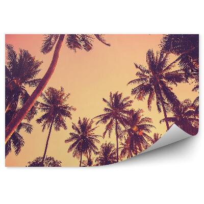 Fototapeta na stenu Siluety paliem pri západe slnka vintage