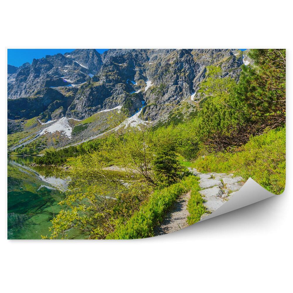 Fototapeta na stenu Cesta medzi zelenými smaragdovými vodnými horami