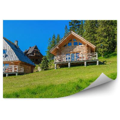 Fototapeta Drevené domy zelená lúka leto Tatry