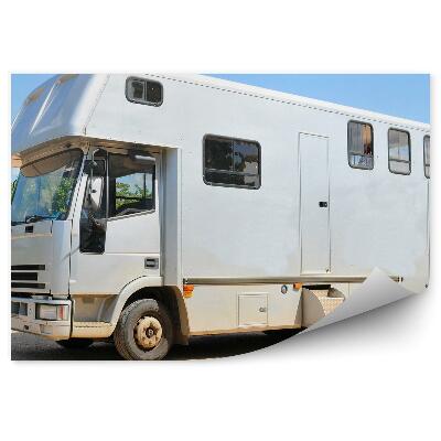 Fototapeta Kočija s konjsko vprego