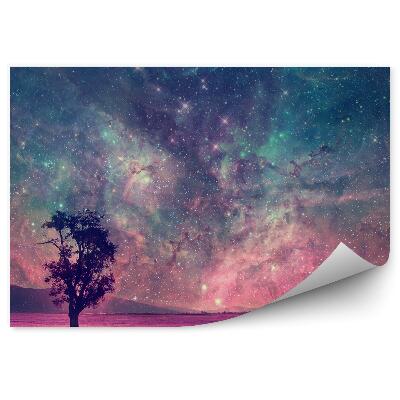 Fototapeta Stromy polia hviezdy obloha fantázia
