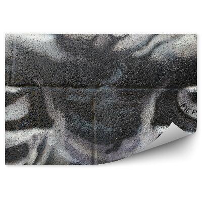 Fototapeta na stenu Graffiti opičie oči