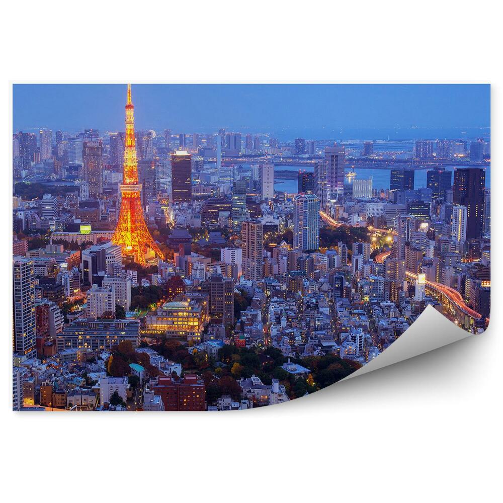 Fototapeta Pohľad z vtáčej perspektívy Tokio noc