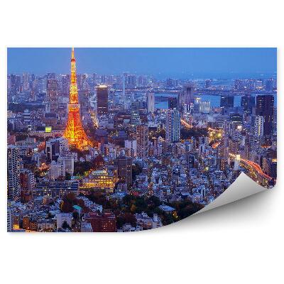 Fototapeta Pohľad z vtáčej perspektívy Tokio noc