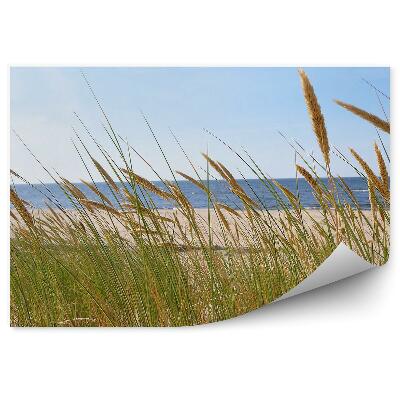 Fototapeta Zelená tráva pozadie modrá morská pláž