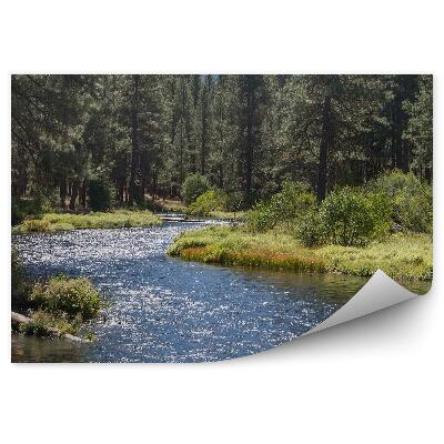 Fototapeta na stenu Rieka vianočný stromček hora príroda