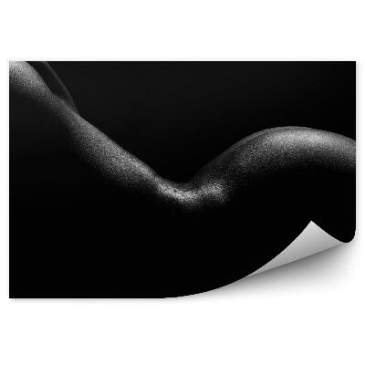 Fototapeta na stenu Silueta Nahej Ženy Zadný Zadok