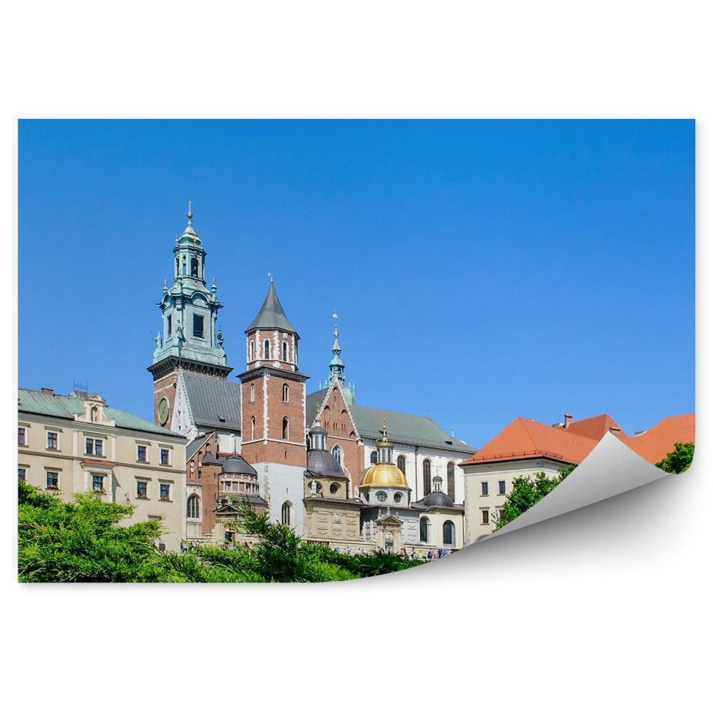Fototapeta na stenu Katedrála Wawel stromy rastliny nebo Krakov