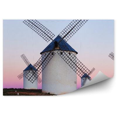 Fototapeta na stenu Polje mlinov na veter ob polmraku obarvano nebo