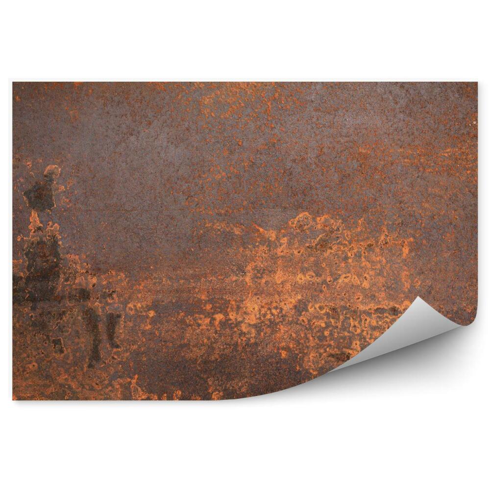 Fototapeta Zhrdzavený kov