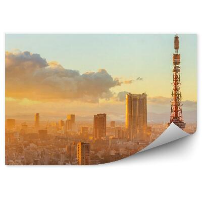 Fototapeta na stenu Panoramatický Pohľad Na Budovy Mesta Osaka