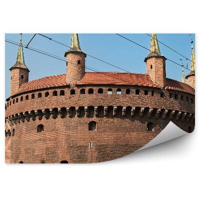 Fototapeta Barbakan Krakov stromy