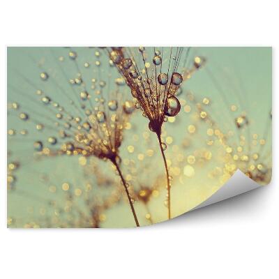 Fototapeta Kvapky Vody Fúkajú