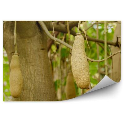 Fototapeta Ovocný strom príroda v detailnom zábere