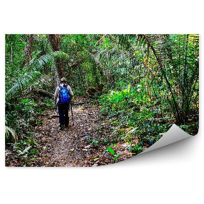 Fototapeta na stenu Cestovateľ džungľa turistika listy zelené