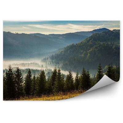 Fototapeta na stenu Ihličnatý les v hmle pri východe slnka
