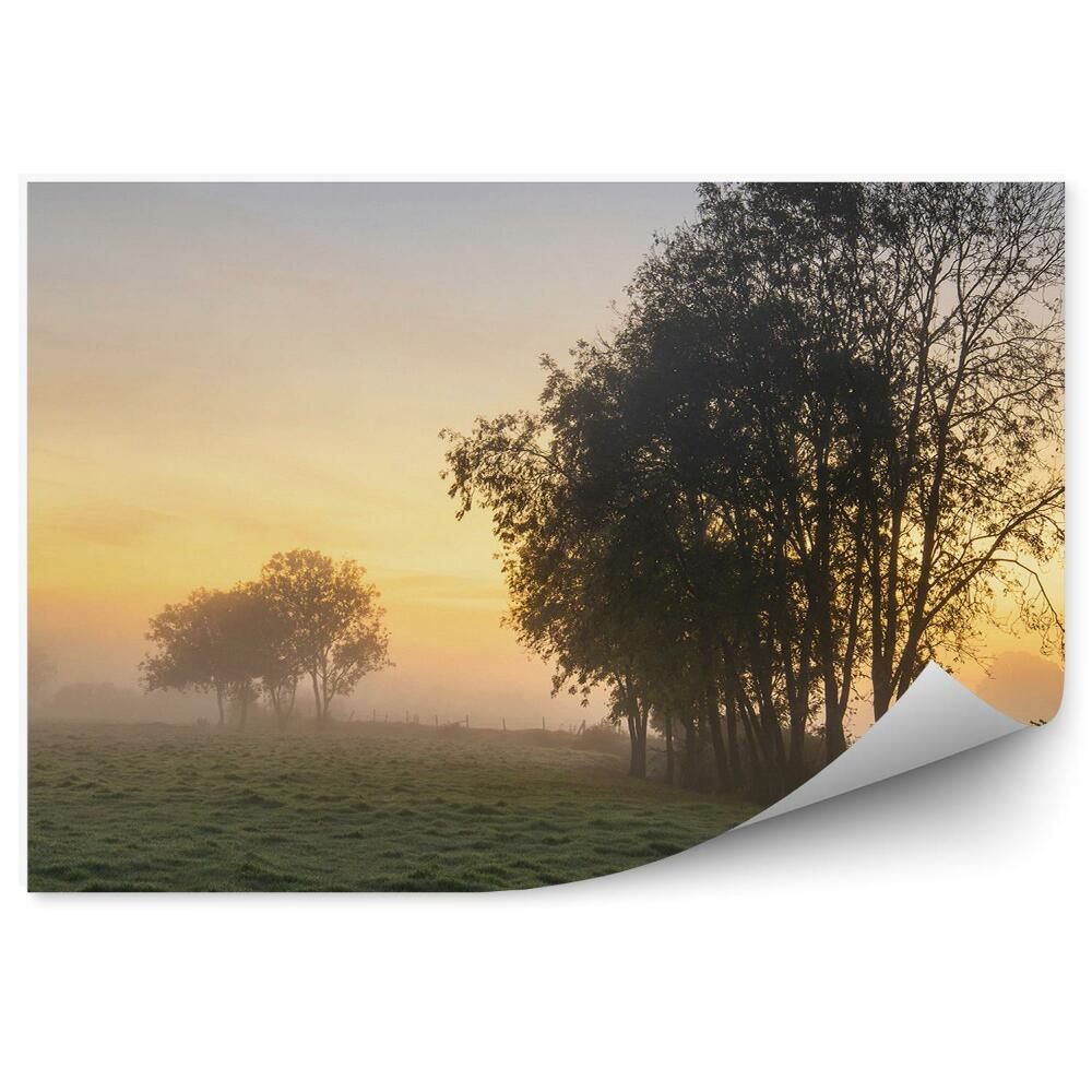 Fototapeta na stenu Jesenná krajina hmla stromy poľana